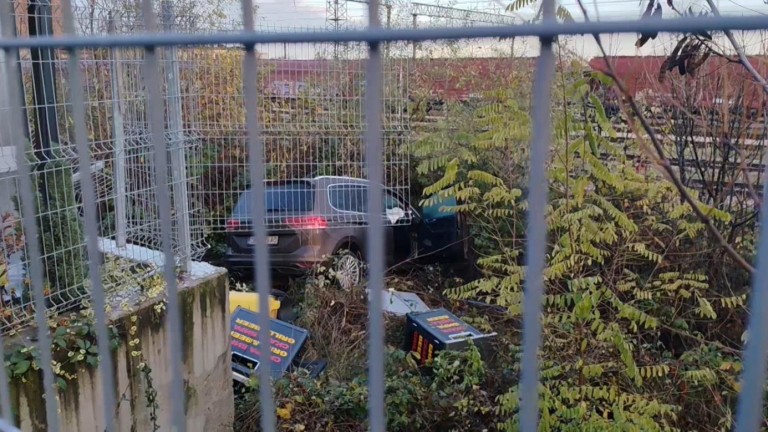 Изображение 742951