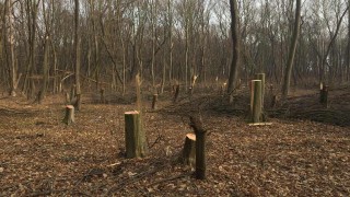 Само за един ден вчера бяха съставени четири акта за