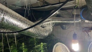 Разбиха две наркооранжерии във Врачанско съобщават от полицията Вчера 11