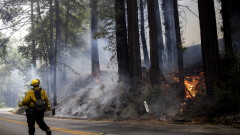 Пожар изпепели 12 000 акра горски площи в Калифорния