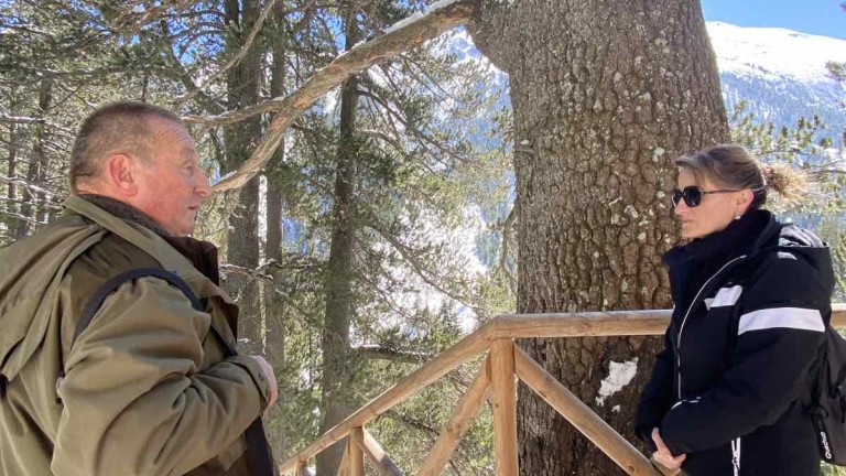 Изображение 613551