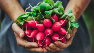 Винаги е хубаво когато може да приготвим сами храната си