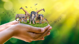 Климатичните промени, животинските видове, WWF, ООН и пред каква заплаха са изправени