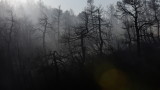  Трети ден военнослужещи и техника от Военновъздушни сили оказват помощ в гасeнето на огромни горски пожари 