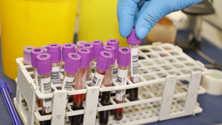 Феновете на Левски от сдружението Синя Зона Б 18″ се отзоваха