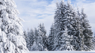 Априлски сняг падна на Пампорово и високите части на Родопите