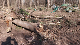 Екипи на общинска полиция ще извършват периодични обходи на терена