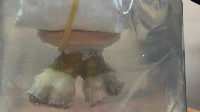 Изображение 745351