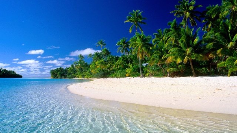 Изображение 225751