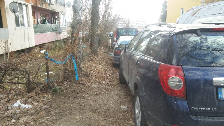 Изображение 336651