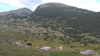 Коалиция За да остане природа в България настоява за от