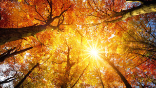 Още един топъл ден, златната есен продължава