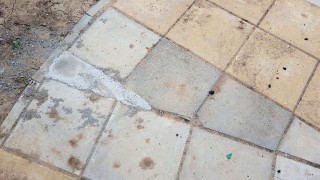 Столични общински съветници поканиха кмета на София Йорданка Фандъкова заедно