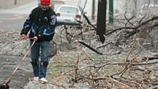 Бурята чупи дървета в София и Враца