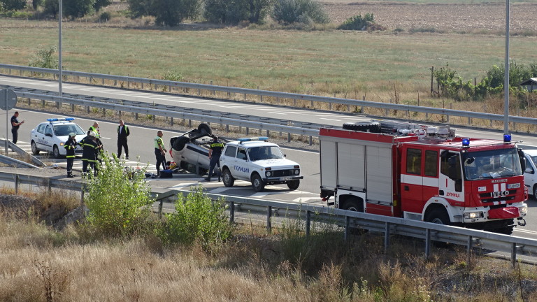 Изображение 377951