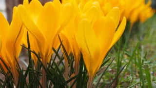 100 метрово синьо платно поставиха на столичния площад Славейков Идеята предвижда