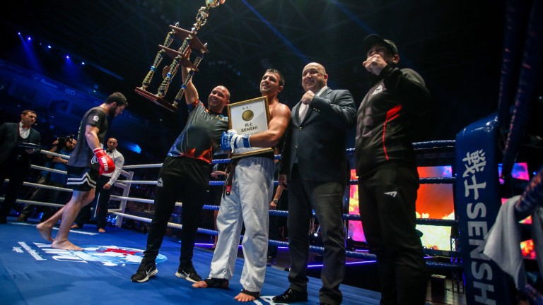 Изображение 419351