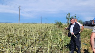 Земеделският министър разпореди пълна проверка на Агенцията за борба с градушките