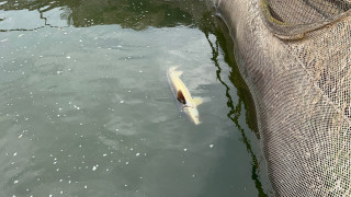 Язовир Копринка няма отношение към водоснабдяването на Стара Загора уточяват