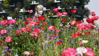 Днес ще преобладава слънчево време Около и след обяд над