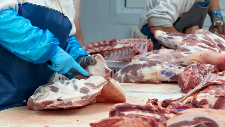 Четири категории на ужаса: Защо месото в Германия е евтино?