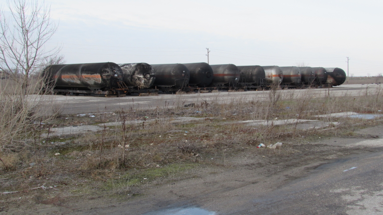 Изображение 271052