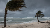  Ураган остави 1 млн. души без ток във Флорида 