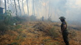 Πυροσβέστες δίνουν μάχη με φωτιά στην Ελλάδα στην περιοχή Βίλια