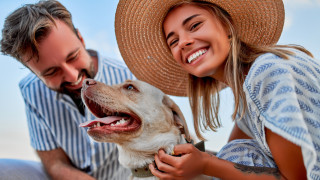 Всички сме чували че кучето е най добрият приятел на човека Но