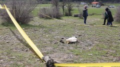 Разследват случая с двата отровени египетски лешояда в Родопите