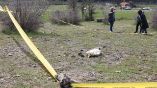 Води се разследване по случая с съобщават на сайта