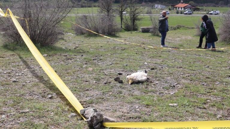 Изображение 711752