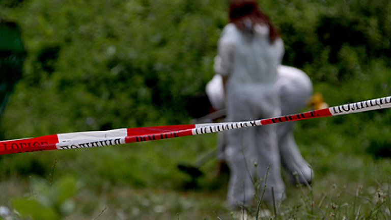 Изображение 82552