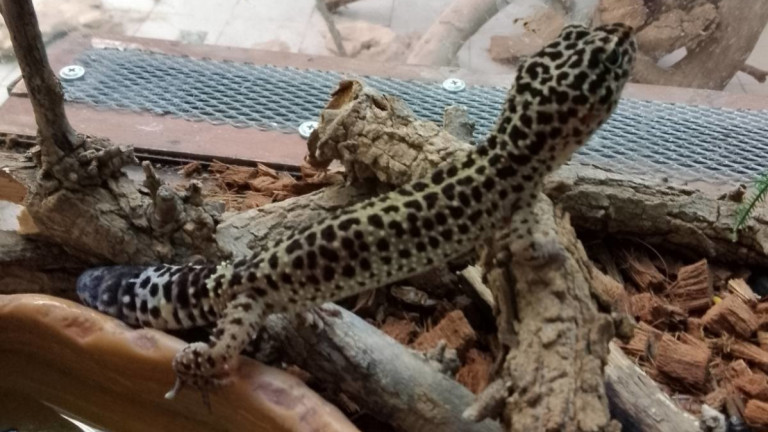 Изображение 742652