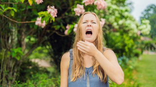 Най често проявите на сенна хрема са в месеците между март