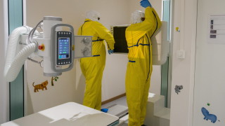 50% увеличение на хоспитализираните с коронавирус в Белгия