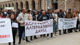 Не убивайте сектора с гъбите За това призовават браншовите организации