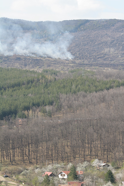 15 дка гора изгоря във Видинско