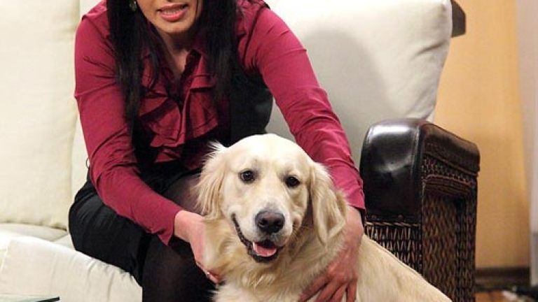 Изображение 93652