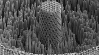 Учени създадоха “метално дърво”, което може да е и батерия