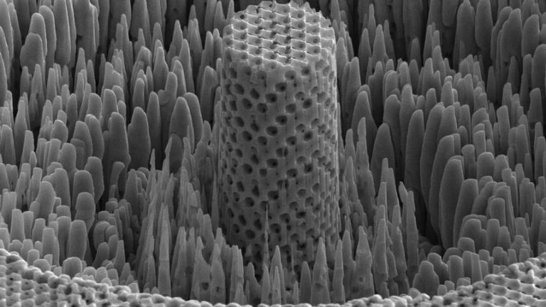 Учени създадоха “метално дърво”, което може да е и батерия