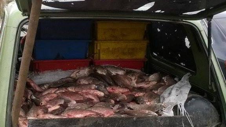 Иззеха 2660 кг незаконно уловена риба 