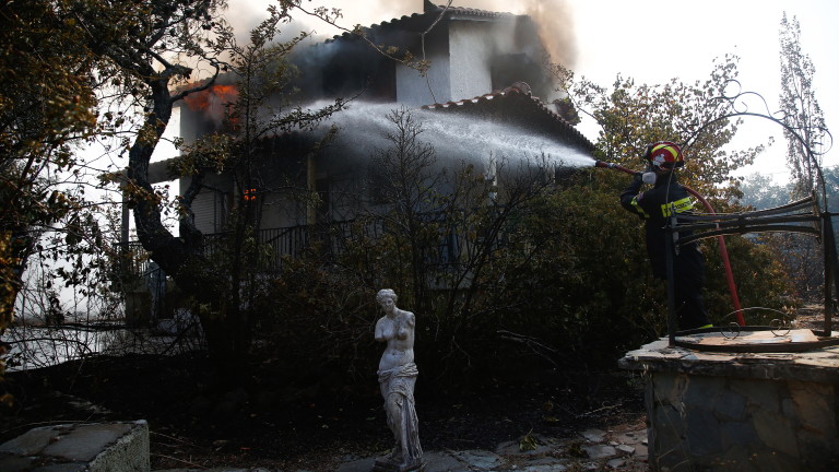 Изображение 544152