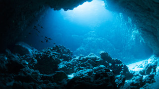 Какво се крие на дъното на океана до Титаник