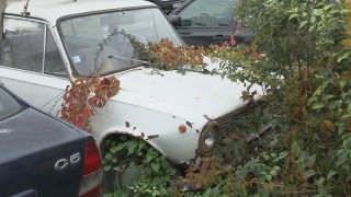 МОСВ иска по-високи екотакси за старите коли