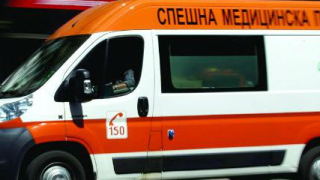 Линейка превозваща пациент блъсна кон на пътя между Кюстендил и