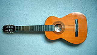 Търг предлага 265 винтидж китари