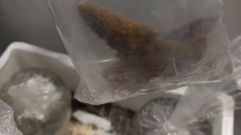 Изображение 745352