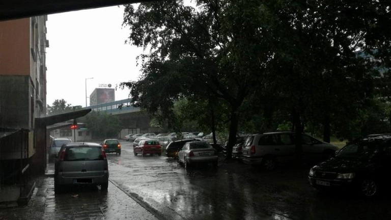 Изображение 305552