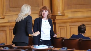 Зам председателят на ПГ на ИТН Виктория Василева тази вечер потвърди